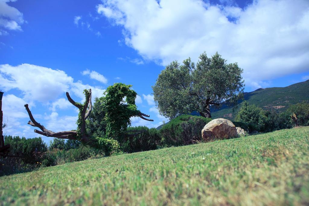 Agriturismo Il Ginepro Fluminimaggiore Exterior photo