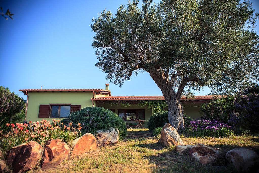 Agriturismo Il Ginepro Fluminimaggiore Exterior photo